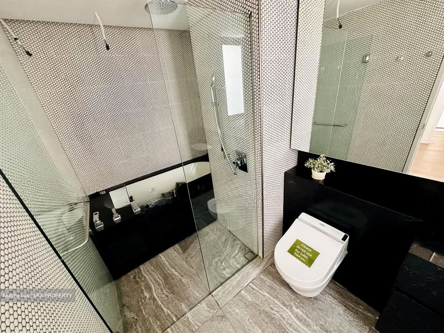 10 Evelyn (D11), Apartment #605752911